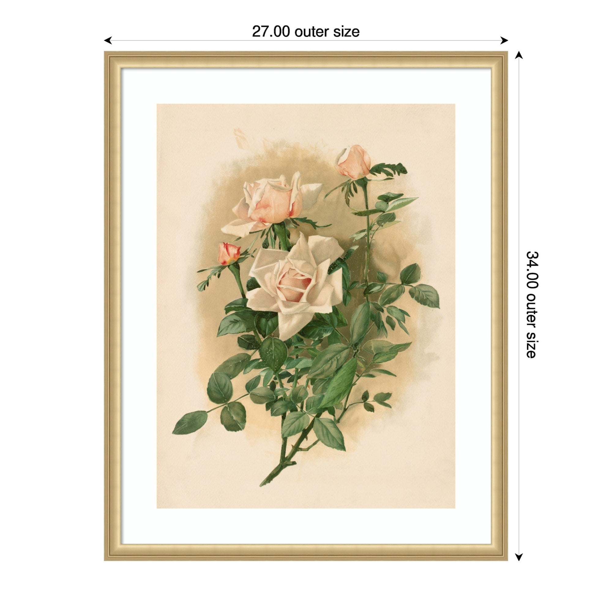 Duchesse De Vallombrosa Roses By Thaddeus Welch Wood Framed Wall Art Print