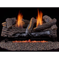 Duluth Forge Dls L24T 2 33 000 Btu Vent Free Liquid Propane Log Set