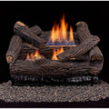 Duluth Forge Dls N18T 2 30 000 Btu Vent Free Natural Gas Log Set