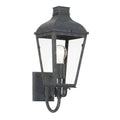 Dumont 1 Light Graphite Outdoor Wall Mount