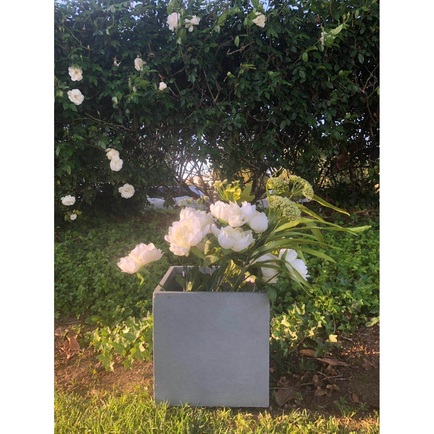 Durx Litecrete Lightweight Concrete Modern Square Cement Colorplanter Medium 11.8X11.8X11.8