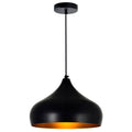 Black Stainless Steel 1 Light Chandelier