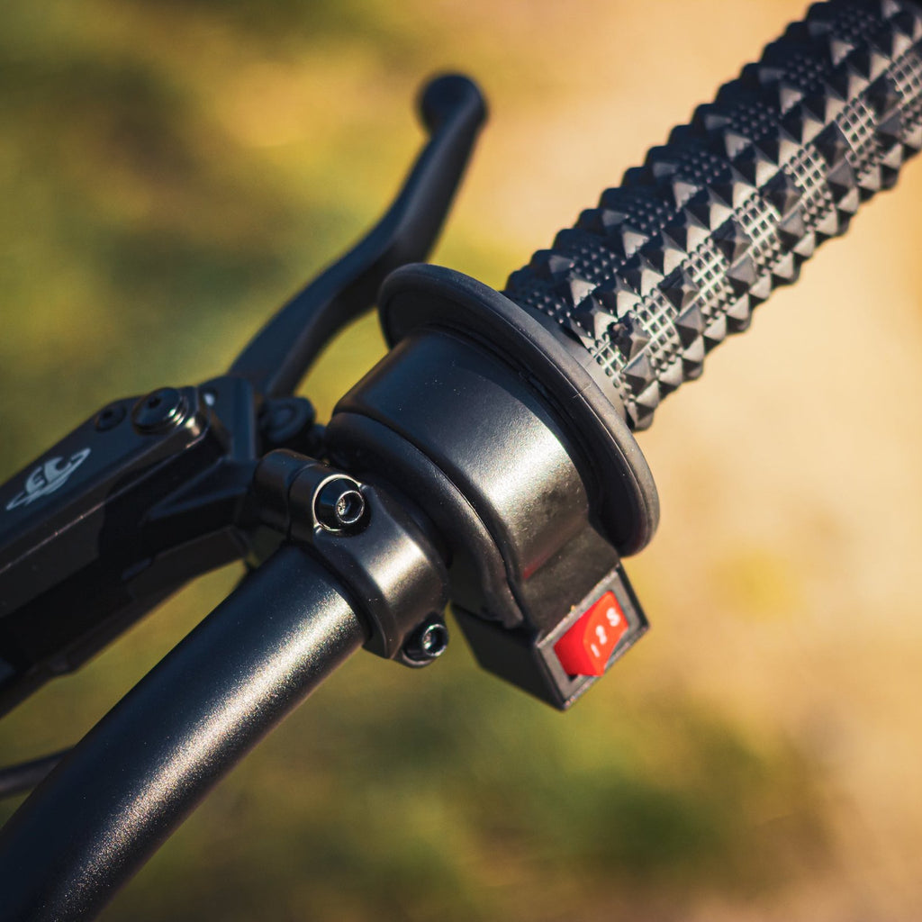 Electro & Co ETM™ RTR 72V