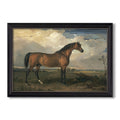Eagle A Celebrated Stallion 1809 James Ward Custom Framed Canvas