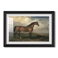 Eagle A Celebrated Stallion 1809 James Ward Custom Framed Print