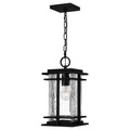 Earth Black One Light Mini Pendant From The Mcalister Collection