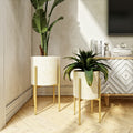 Eisley Modern Planters Set Of 2