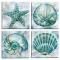 Elegant Shells I Ii Iii Iv