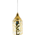 Elida Eclectic Golden Glass 1 Light Pendant 12 H X 6 W X 6 D