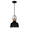 1 Light Mini Pendant With Black Finish