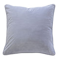 Elisa Velvet 20 Square Decorative Throw Pillow 2Pk