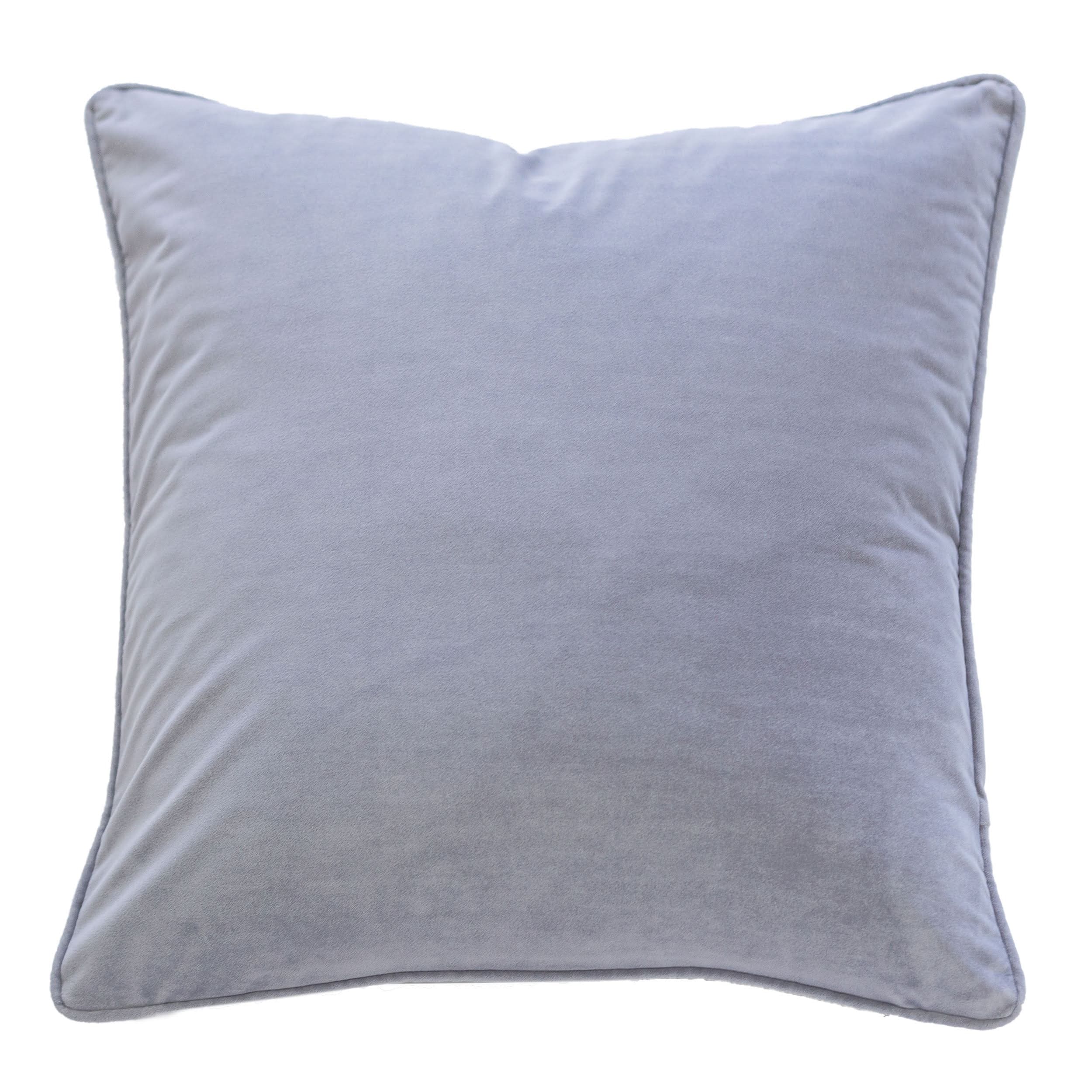 Elisa Velvet 20 Square Decorative Throw Pillow 2Pk