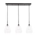 Ivy Terrace Elise Black 36 Inch 3 Light Clear Pendant