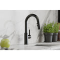 Elkay Avado Single Hole Bar Faucet With Pull Down Spray And Lever Handle