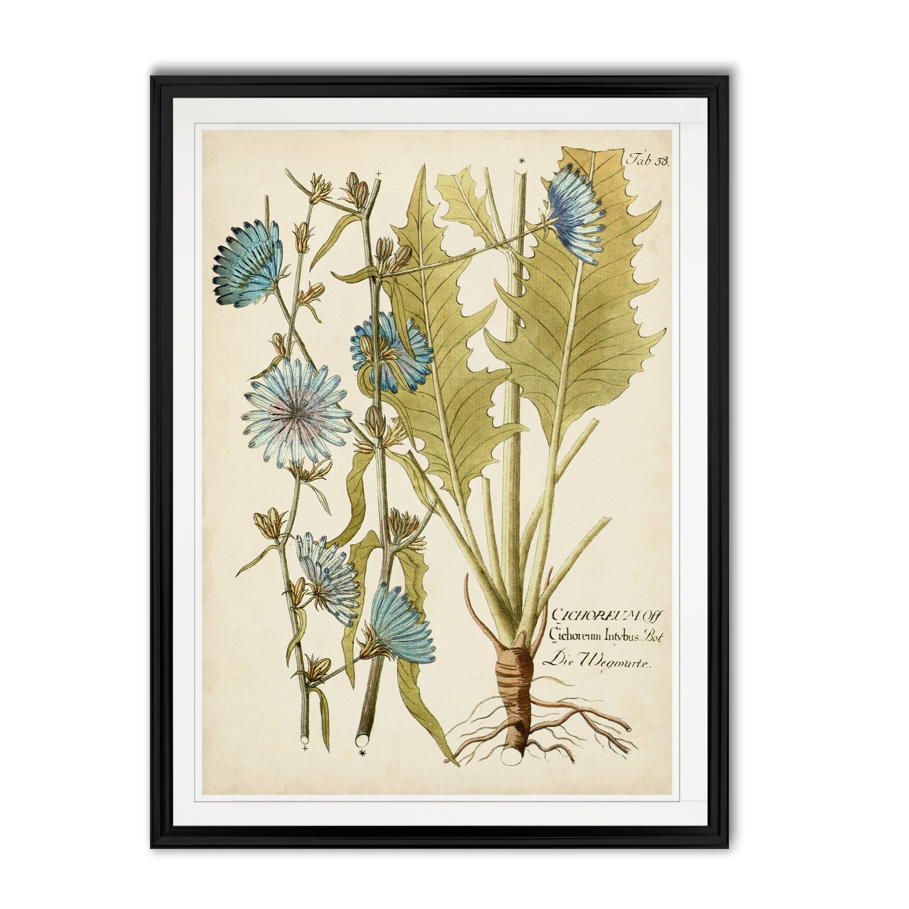 Eloquent Botanical I Custom Framed Print