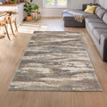 Emily Modern Abstract Shag Area Rug