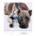 Empire Art I Like What I Like Frameless Free Floating Tempered Art Glass By Ead Art Coop