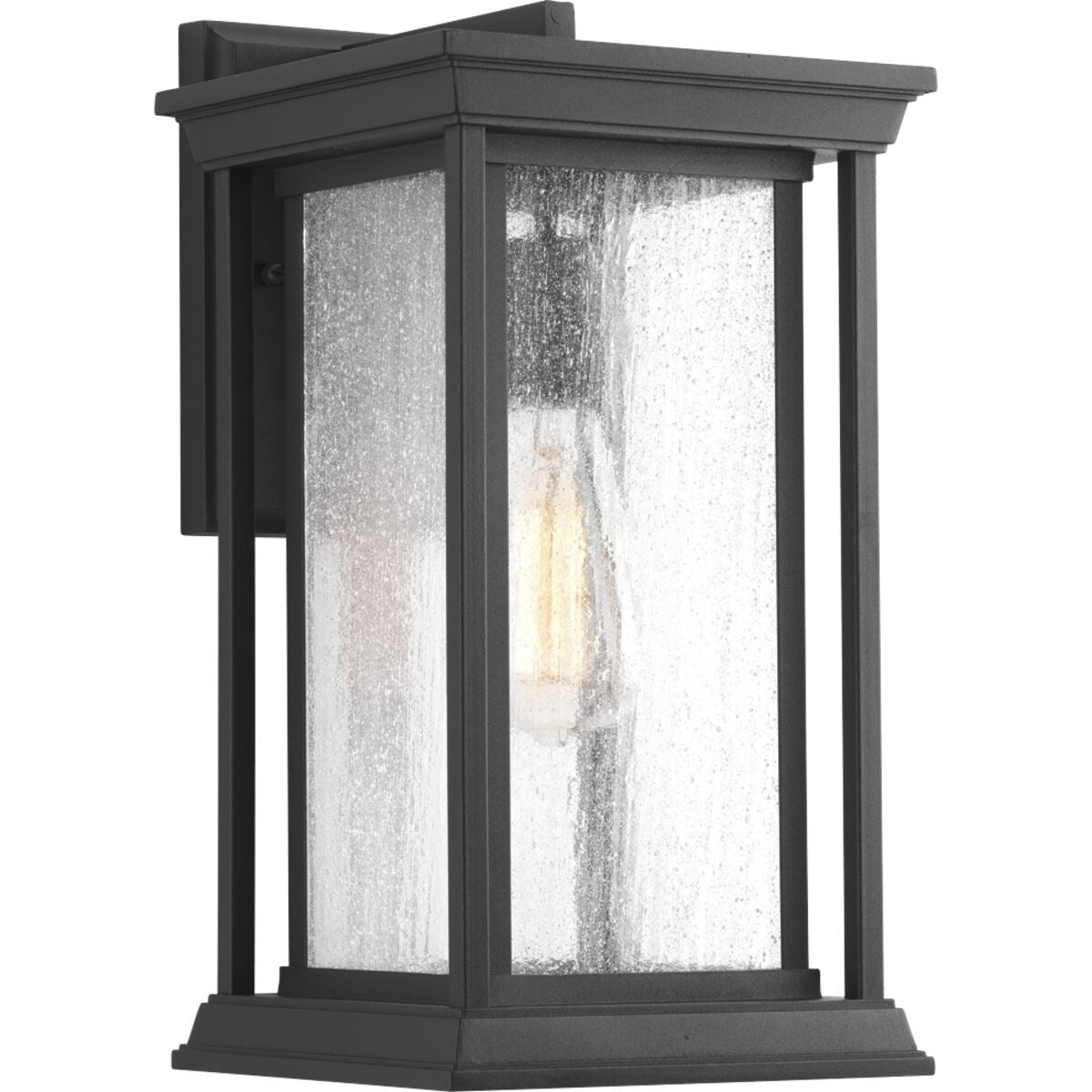 Endicott Collection 1 Light Black Wall Lantern