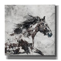 Epic Graffiti Bay Horse 4 By Irena Orlov Giclee Canvas Wall Art 12 X12