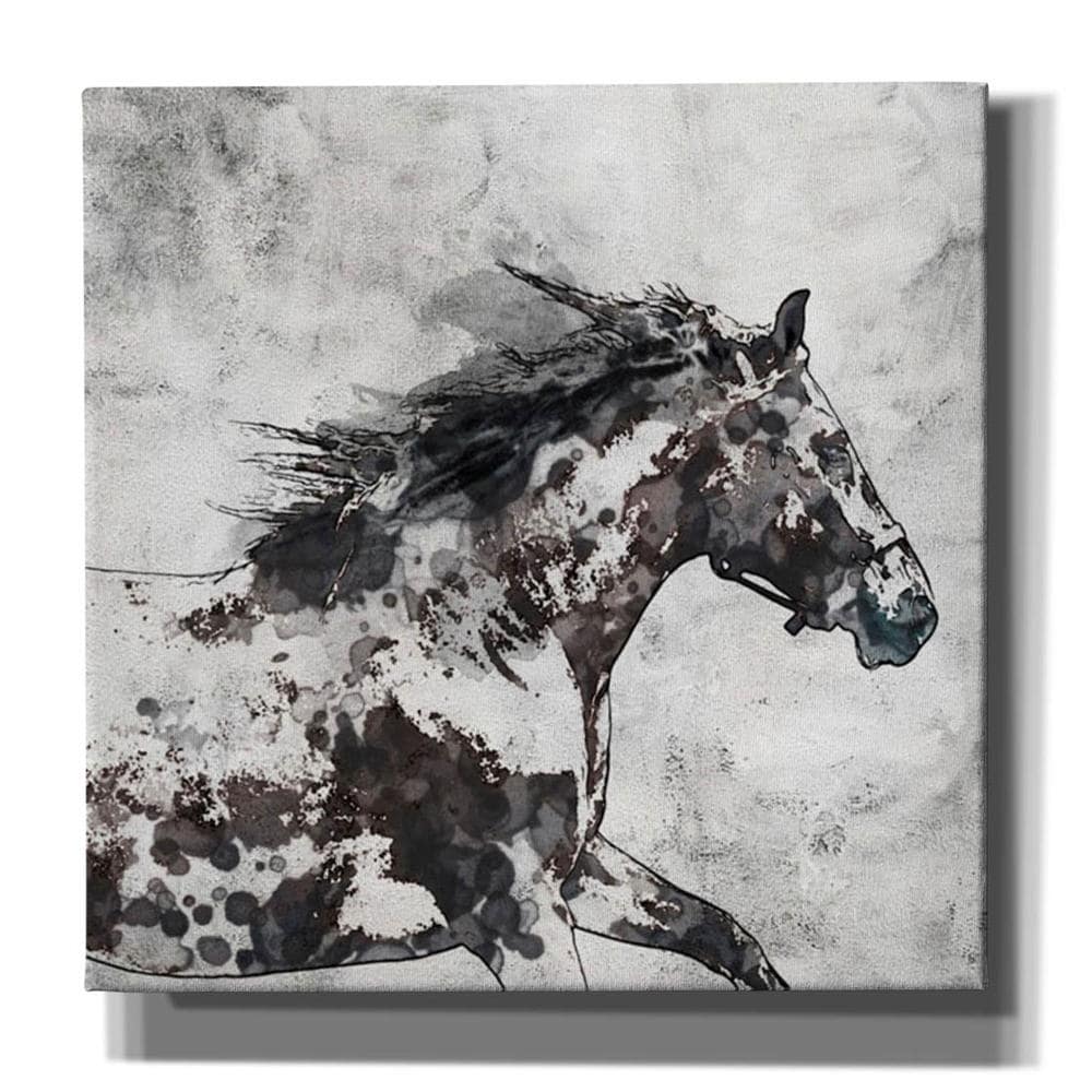 Epic Graffiti Bay Horse 4 By Irena Orlov Giclee Canvas Wall Art 12 X12