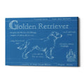 Epic Graffiti Blueprint Golden Retriever By Ethan Harper Giclee Canvas Wall Art 16 X12