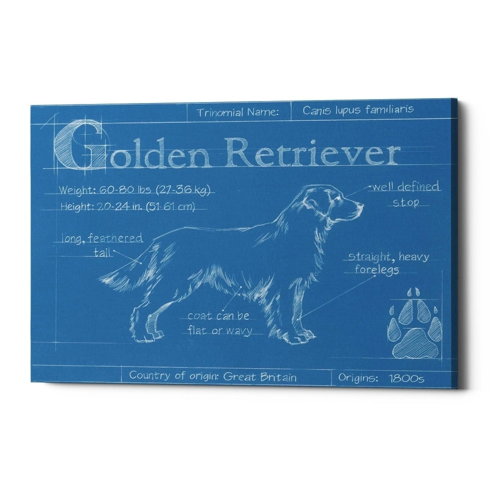 Epic Graffiti Blueprint Golden Retriever By Ethan Harper Giclee Canvas Wall Art 16 X12