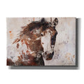 Epic Graffiti Brown 2 Gorgeous Horse By Irena Orlov Giclee Canvas Wall Art 16 X12