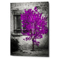 Epic Graffiti Harmony Giclee Canvas Wall Art 12 X16