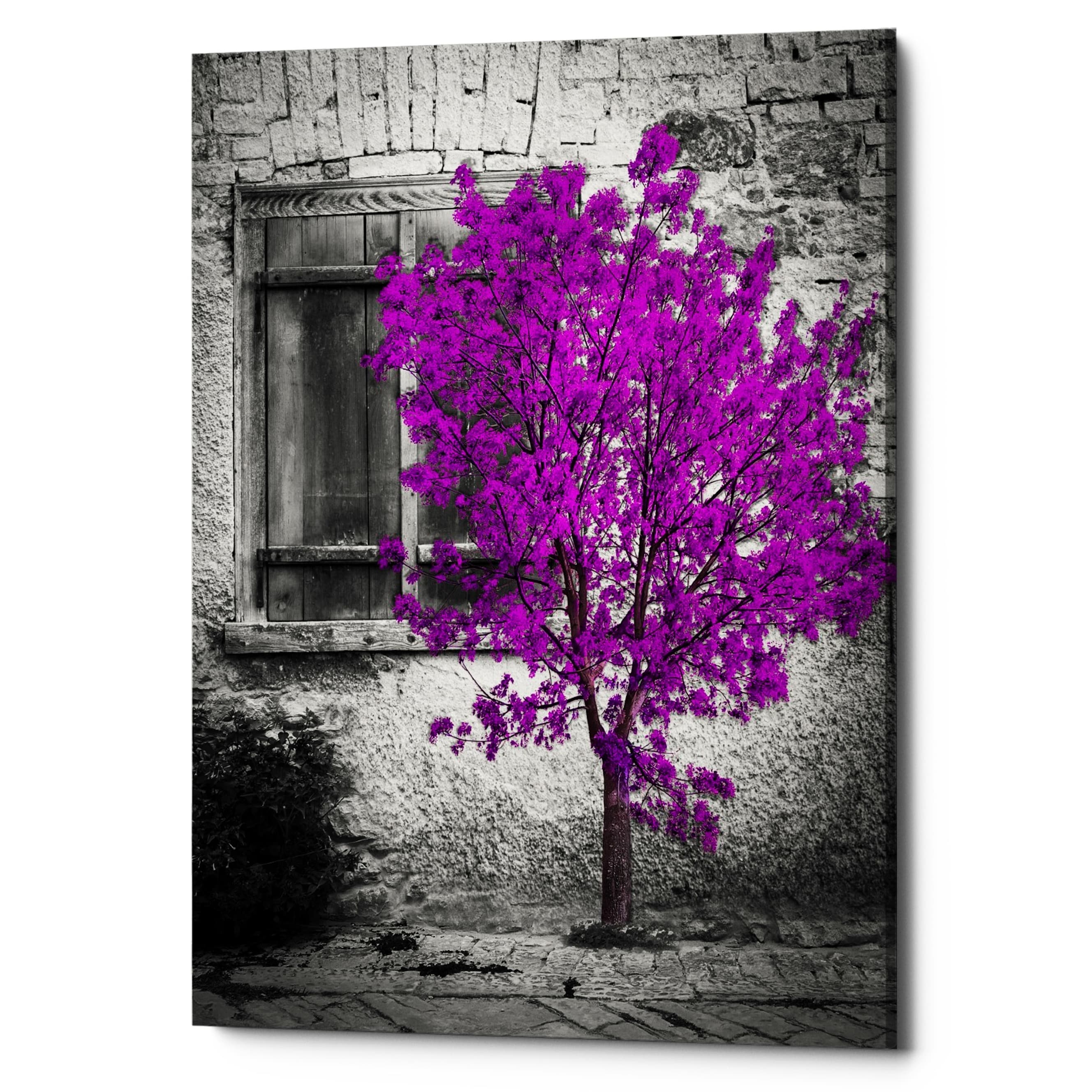 Epic Graffiti Harmony Giclee Canvas Wall Art 12 X16