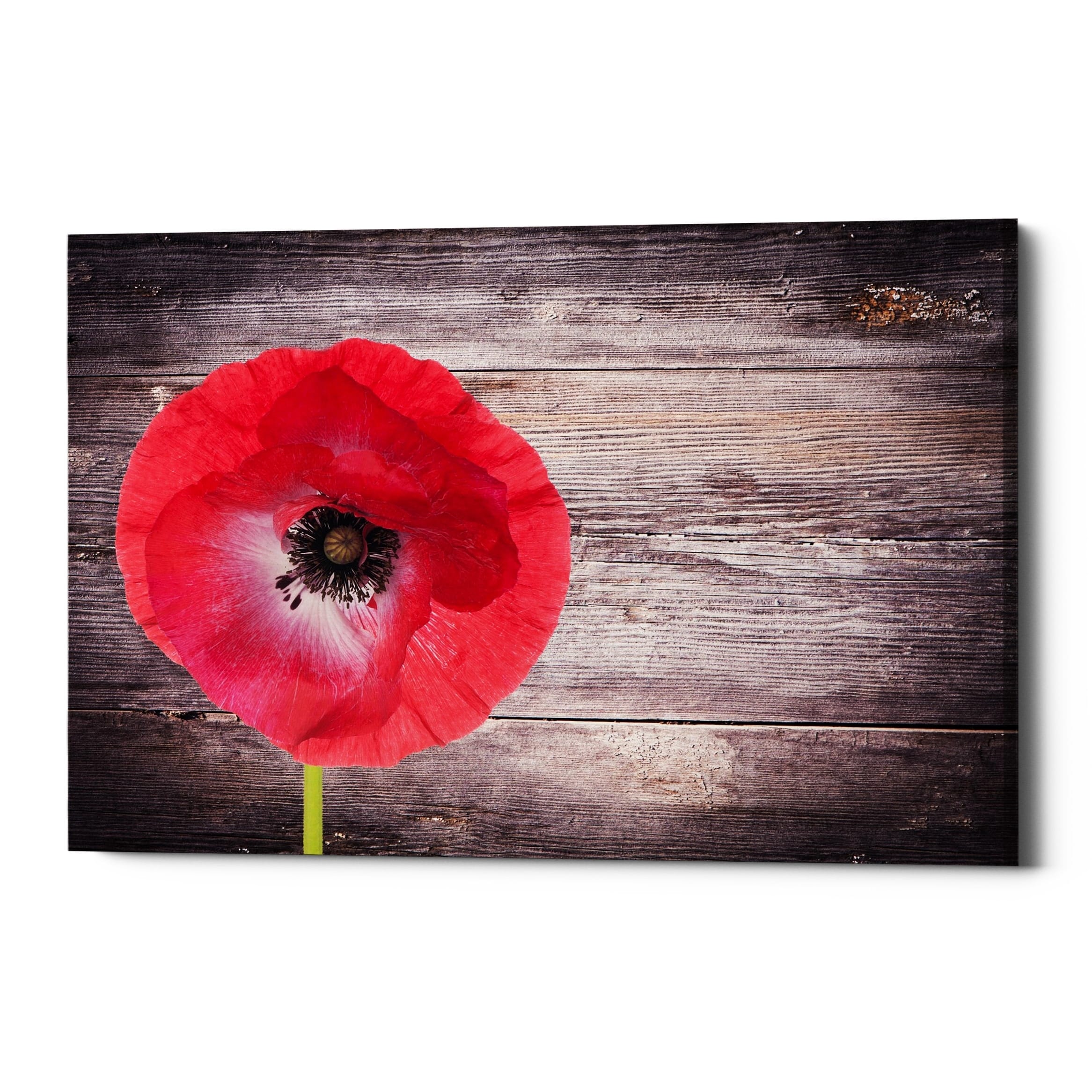 Epic Graffiti Luxury On Rustic Giclee Canvas Wall Art 18 X12