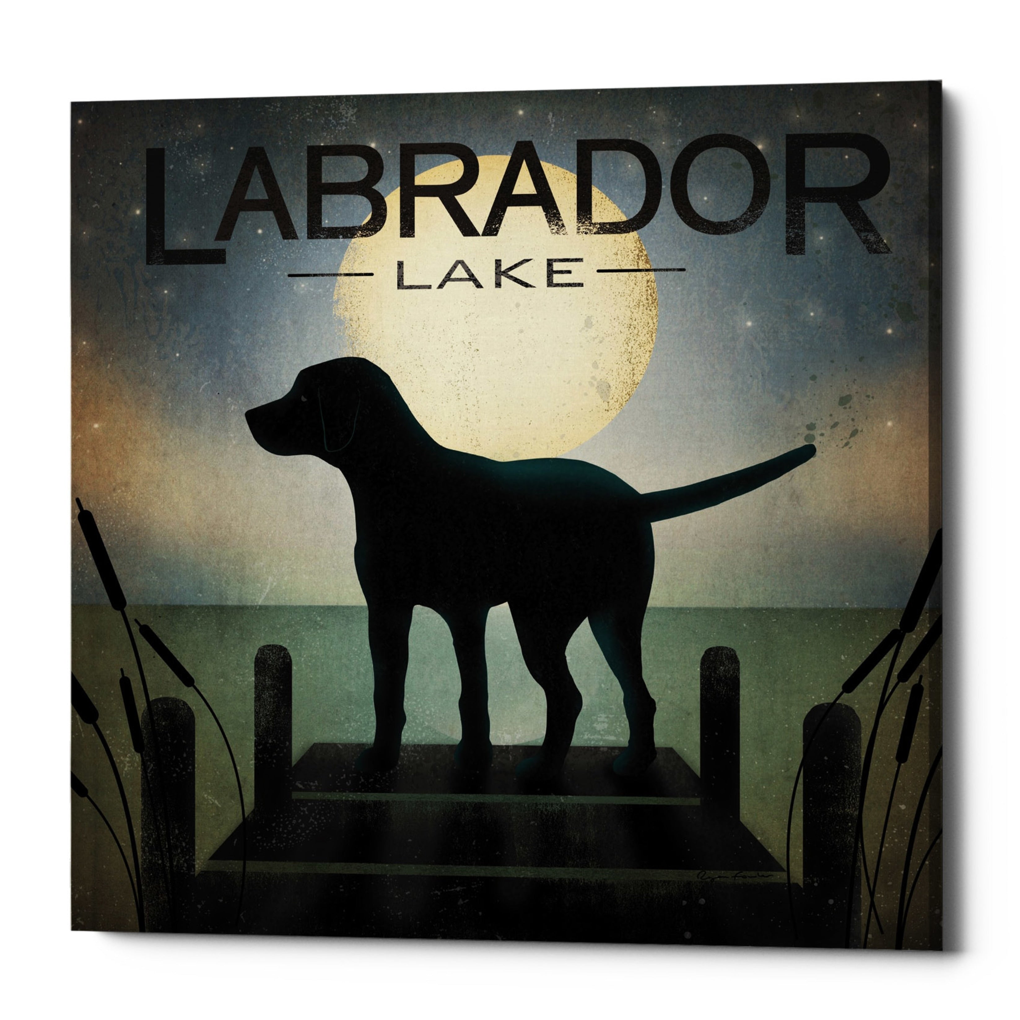 Epic Graffiti Moonrise Black Dog Labrador Lake By Ryan Fowler Giclee Canvas Wall Art 12 X12