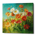 Epic Graffiti Painted Daisies By Danhui Nai Giclee Canvas Wall Art 26 X26 26 X 26