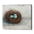 Epic Graffiti Rustic Bird Nest I By Ethan Harper Giclee Canvas Wall Art 16 X12
