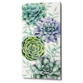 Epic Graffiti Succulent Swatch Collection B By Grace Popp Giclee Canvas Wall Art 12 X24