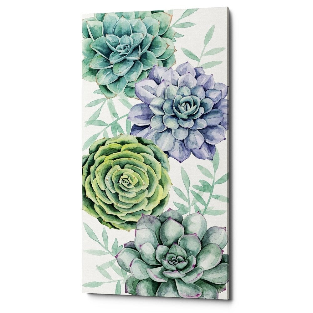 Epic Graffiti Succulent Swatch Collection B By Grace Popp Giclee Canvas Wall Art 12 X24