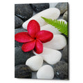 Epic Graffiti Wabi Sabi I Giclee Canvas Wall Art 12 X18