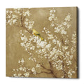Epic Graffiti White Cherry Blossom Ii Neutral By Danhui Nai Giclee Canvas Wall Art 37 X37 37 X 37