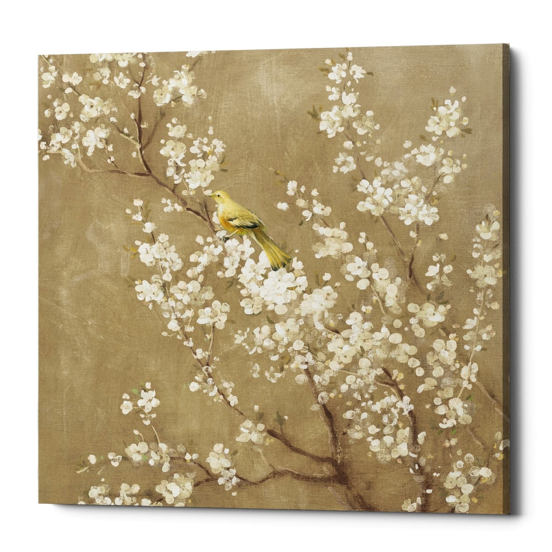 Epic Graffiti White Cherry Blossom Ii Neutral By Danhui Nai Giclee Canvas Wall Art 37 X37 37 X 37