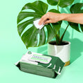 Happimess Essential Oil Plant Cleaning Wipes Remove Dust And Restore Leaf Shine