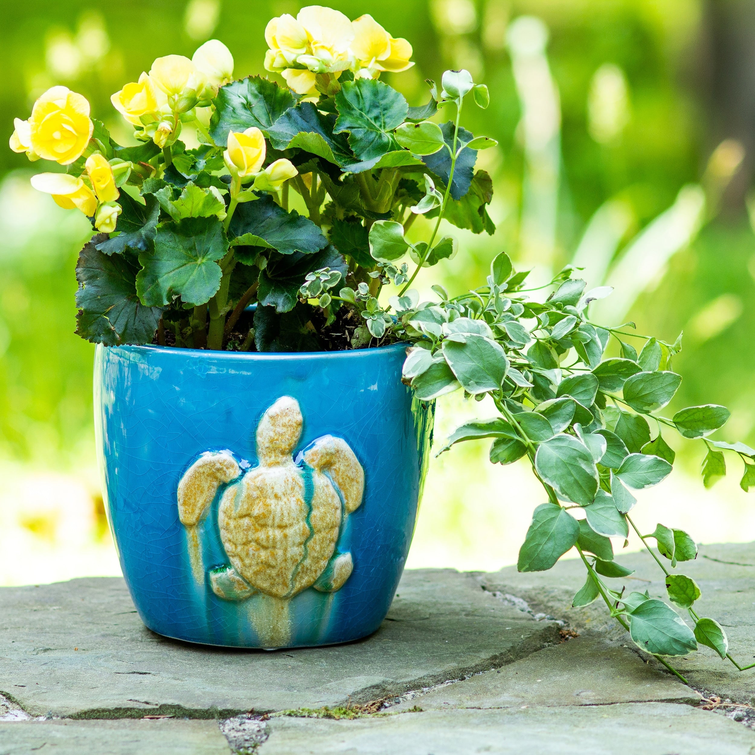 Claybarn Grotto Aqua Seaturtle Planter