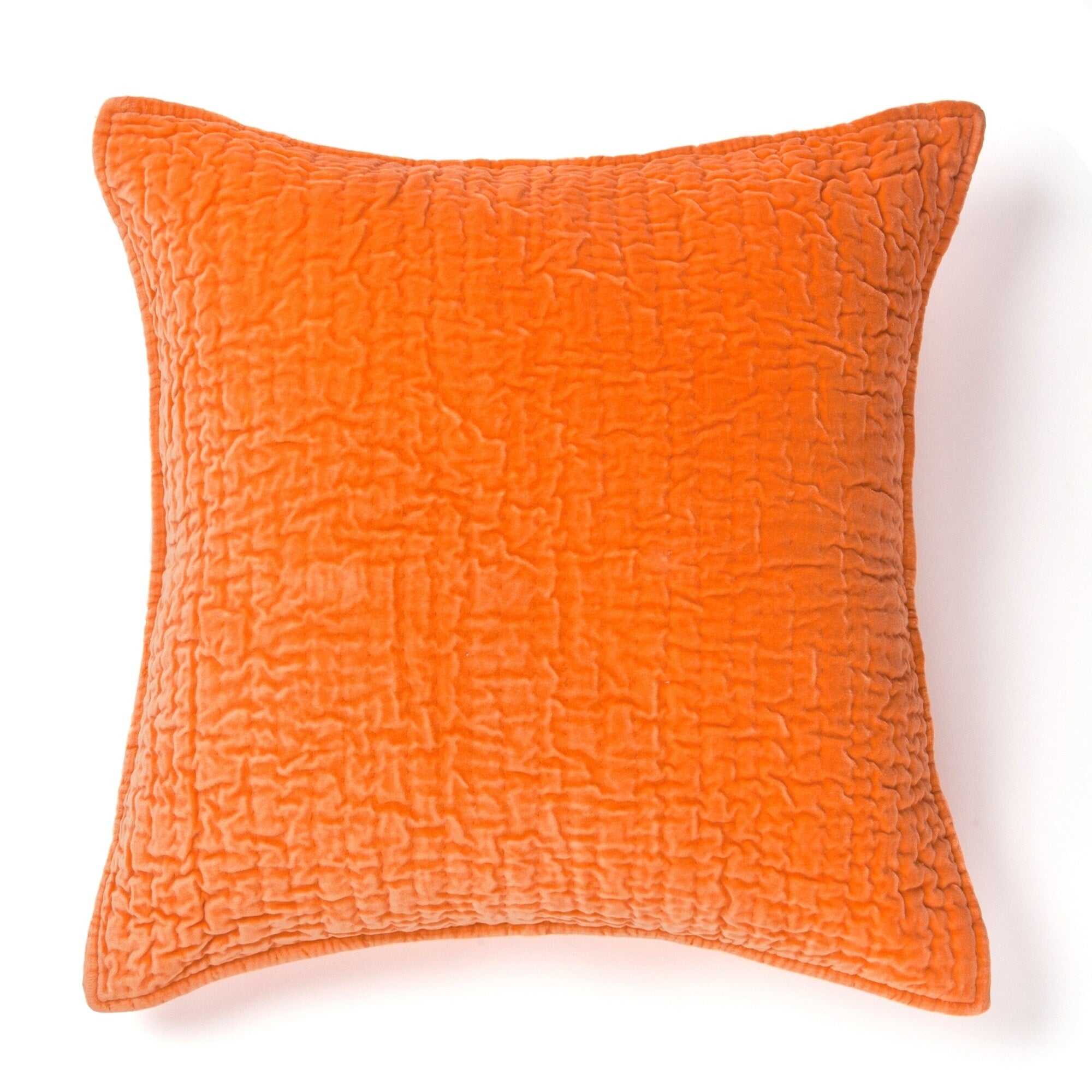 Evan Cotton Velvet Decorative Throw Pillow