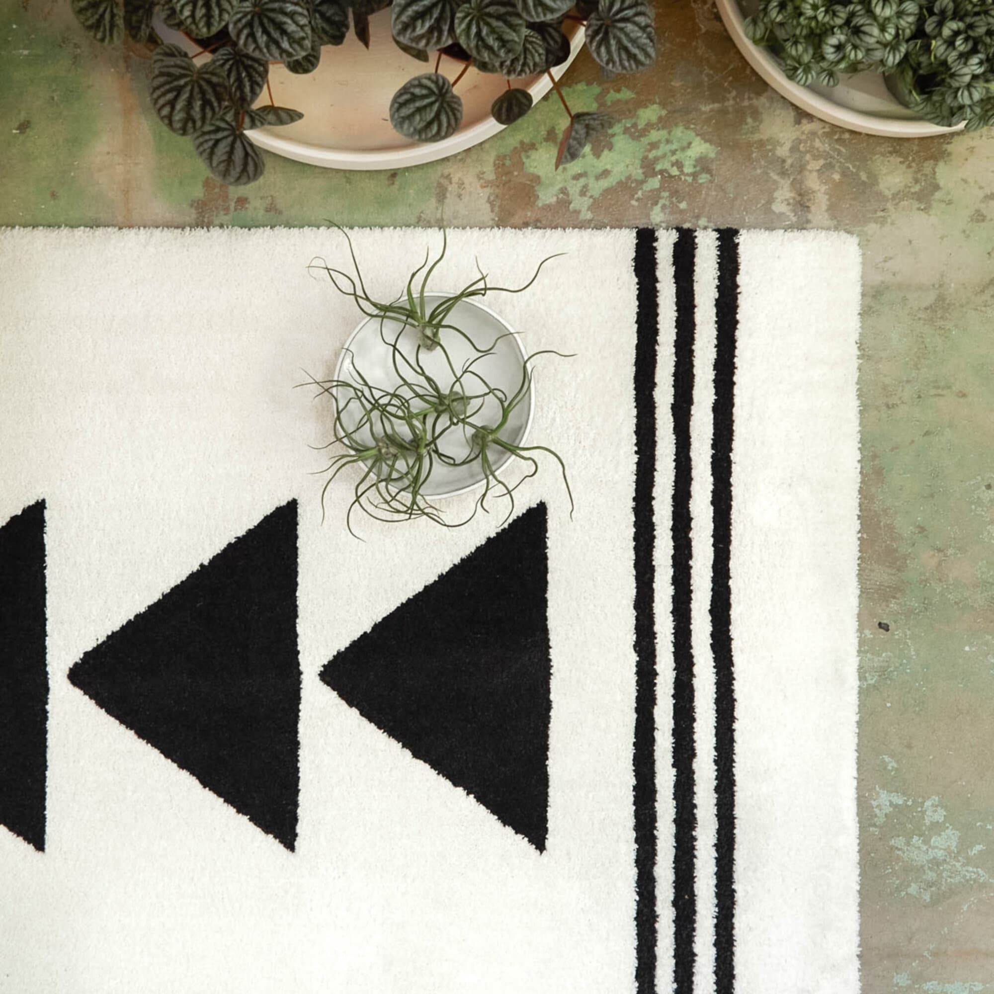 Everett Transitional Area Rug
