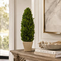 Evergreen 20 Inch Handcrafted Preserved Cone Shaped Boxwood Leaf Topiary In Terracotta Pot
