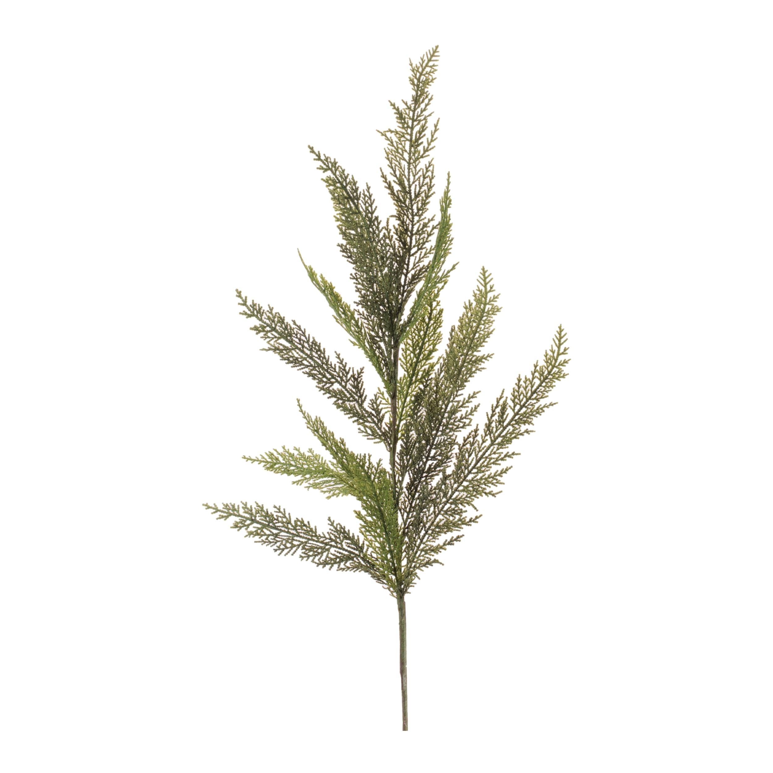 Evergreen Pine Spray Set Of 6