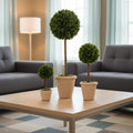Evergreen Preserved Boxwood Topiary Set Of 3 With Terracotta Pot 16 12 6 Tall
