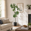 Everleaf 84 Faux Money Tree In Black Planter Pachira Aquatica In Nursey Pot
