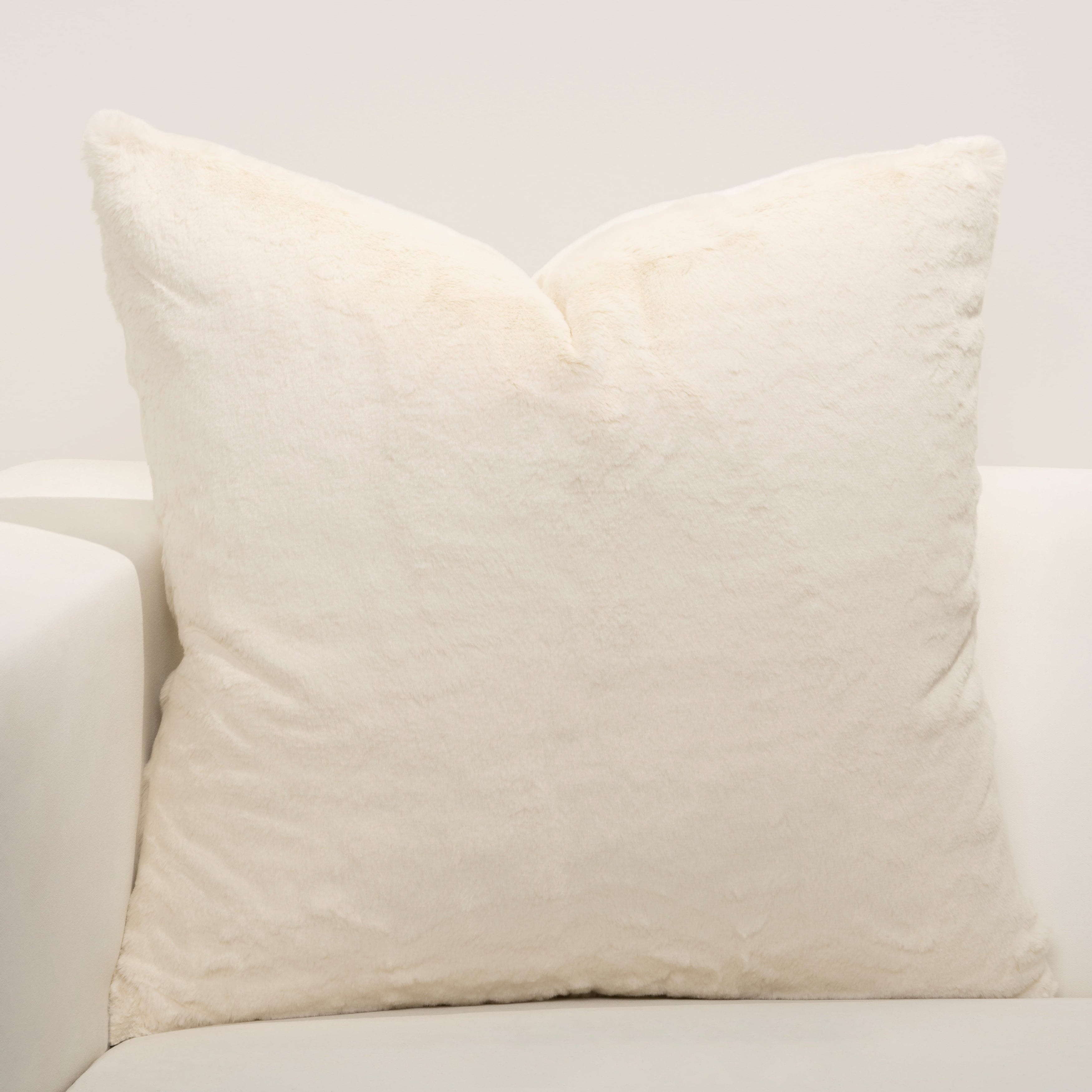 F Scott Fitzgerald Such A Beauty Faux Fur Throw Pillow