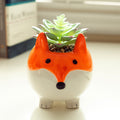 Faux Succulent In 4.5 Large Orange Fox Ceramic Planter One Size