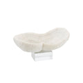 Feather Peanut Oval Coral 8 9 On Acrylic Base