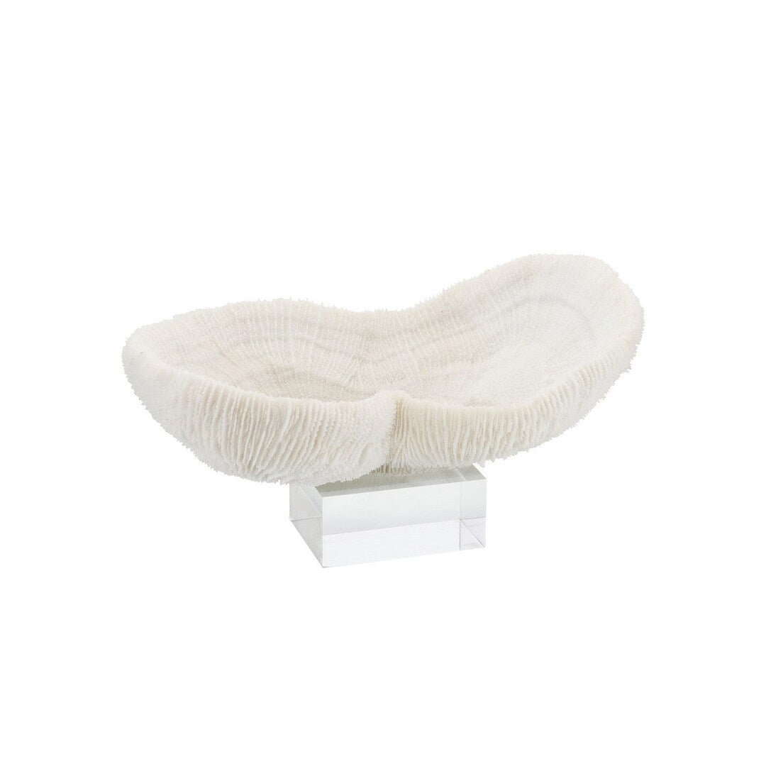 Feather Peanut Oval Coral 8 9 On Acrylic Base